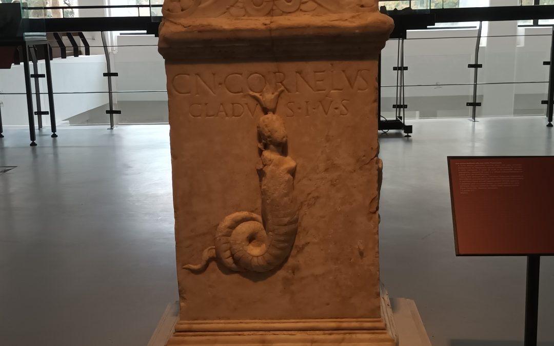 “Un giorno all’anno tutto l’anno”. Incontriamoci al Museo Sanna.